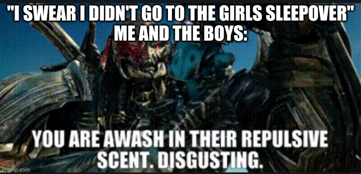 Just wanted to use my template | "I SWEAR I DIDN'T GO TO THE GIRLS SLEEPOVER"
ME AND THE BOYS: | image tagged in you are awash in their repulsive scent | made w/ Imgflip meme maker