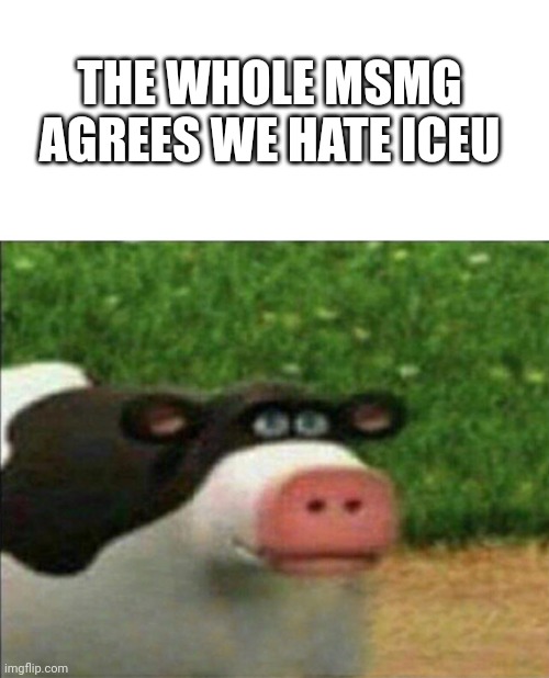 Don't ban me, I was forced to doing this ;-; | THE WHOLE MSMG AGREES WE HATE ICEU | image tagged in perhaps cow | made w/ Imgflip meme maker