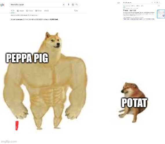 note: the first image says how tall is potat | PEPPA PIG; POTAT | image tagged in buff doge vs cheems | made w/ Imgflip meme maker