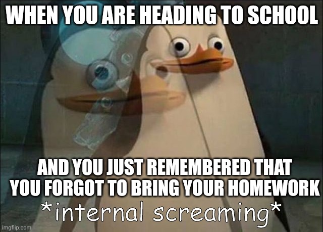 Private Internal Screaming | WHEN YOU ARE HEADING TO SCHOOL; AND YOU JUST REMEMBERED THAT YOU FORGOT TO BRING YOUR HOMEWORK | image tagged in private internal screaming | made w/ Imgflip meme maker