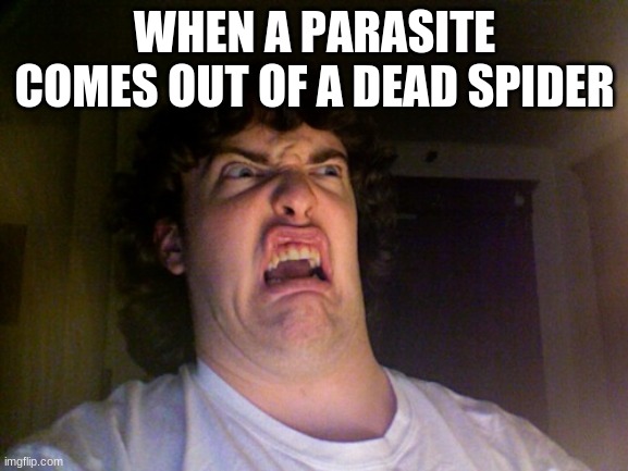 Oh No | WHEN A PARASITE COMES OUT OF A DEAD SPIDER | image tagged in memes,oh no | made w/ Imgflip meme maker