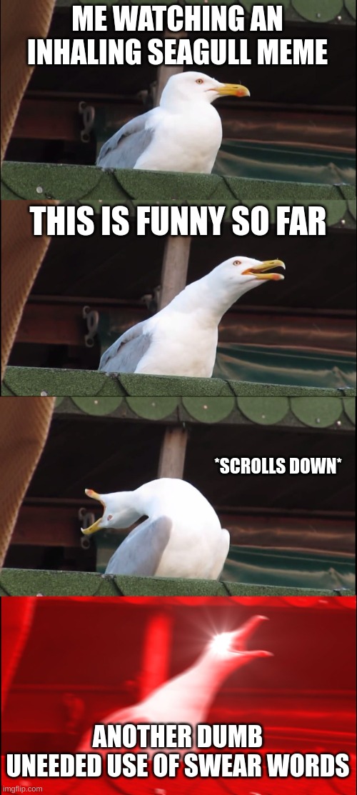 Inhaling Seagull Meme | ME WATCHING AN INHALING SEAGULL MEME; THIS IS FUNNY SO FAR; *SCROLLS DOWN*; ANOTHER DUMB UNEEDED USE OF SWEAR WORDS | image tagged in memes,inhaling seagull | made w/ Imgflip meme maker