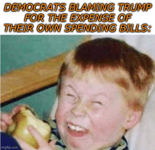 Roasted kid | DEMOCRATS BLAMING TRUMP
FOR THE EXPENSE OF THEIR OWN SPENDING BILLS: | image tagged in roasted kid | made w/ Imgflip meme maker