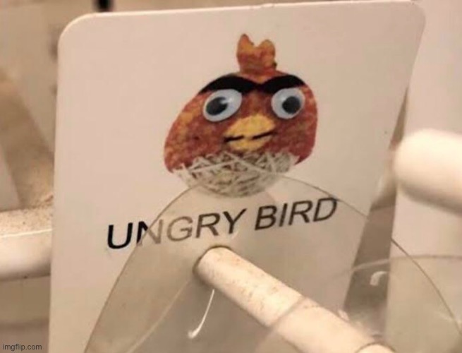 Ungry Bird | image tagged in angry birds,memes,funny,signs,funny signs,stupid signs | made w/ Imgflip meme maker