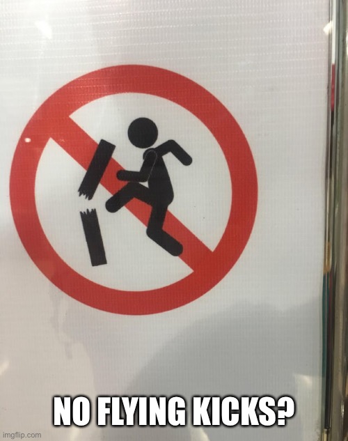 No Flying Kicks? | NO FLYING KICKS? | image tagged in flying,kicks,signs,memes,funny,stupid signs | made w/ Imgflip meme maker