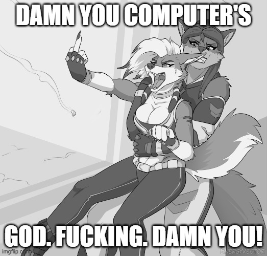 furry | DAMN YOU COMPUTER'S; GOD. FUCKING. DAMN YOU! | image tagged in fun | made w/ Imgflip meme maker