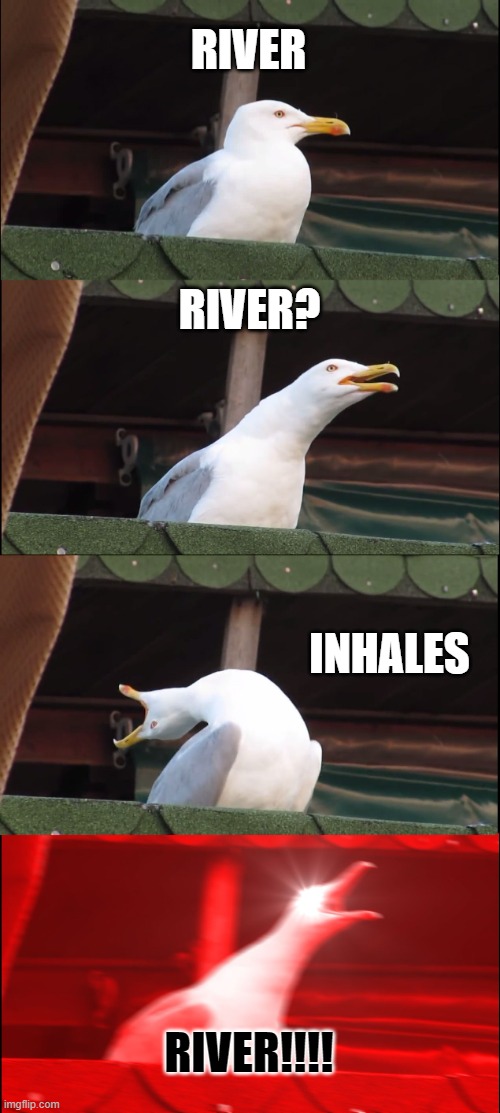 river | RIVER; RIVER? INHALES; RIVER!!!! | image tagged in memes,inhaling seagull | made w/ Imgflip meme maker