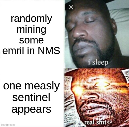no mans sky sh!t | randomly mining some emril in NMS; one measly sentinel appears | image tagged in memes,sleeping shaq | made w/ Imgflip meme maker