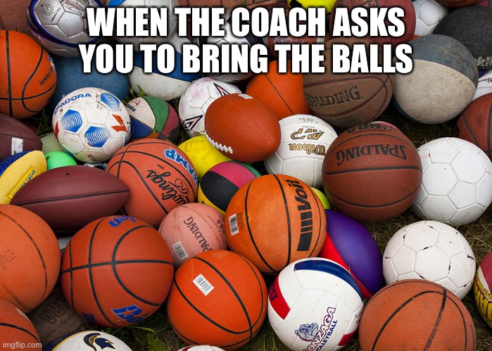 Balls | WHEN THE COACH ASKS YOU TO BRING THE BALLS | image tagged in sports balls | made w/ Imgflip meme maker