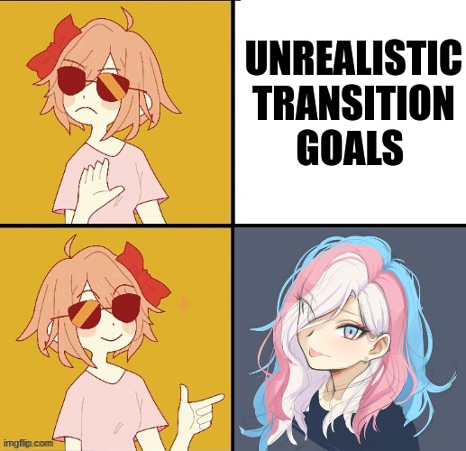 transition goals | UNREALISTIC TRANSITION GOALS | made w/ Imgflip meme maker