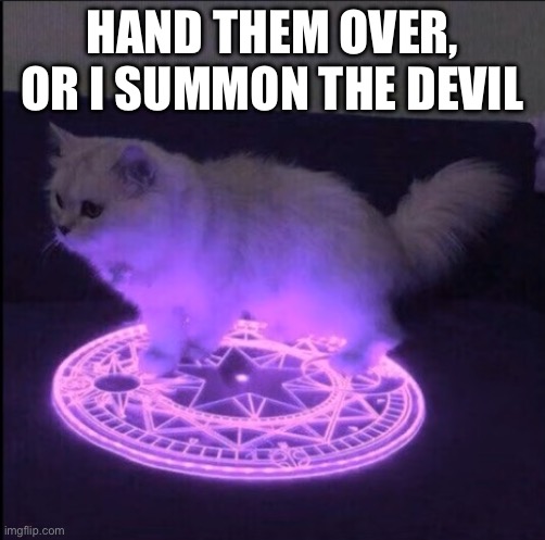 Demonic Little Grey Cat | HAND THEM OVER, OR I SUMMON THE DEVIL | image tagged in demonic little grey cat | made w/ Imgflip meme maker