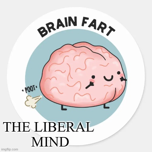 THE LIBERAL 
MIND | made w/ Imgflip meme maker