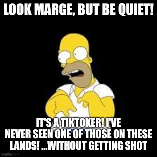 Look Marge | LOOK MARGE, BUT BE QUIET! IT'S A TIKTOKER! I'VE NEVER SEEN ONE OF THOSE ON THESE LANDS! ...WITHOUT GETTING SHOT | image tagged in look marge | made w/ Imgflip meme maker