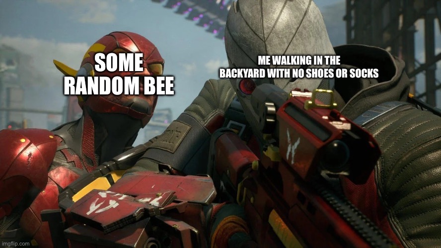 Wear shoes kids | SOME RANDOM BEE; ME WALKING IN THE BACKYARD WITH NO SHOES OR SOCKS | image tagged in right behind you | made w/ Imgflip meme maker