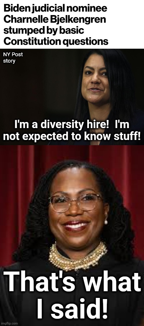 Liberal judges have nothing to do with the constitution anyway | NY Post
story; I'm a diversity hire!  I'm
not expected to know stuff! That's what
I said! | image tagged in memes,charnelle bjelkengren,judge,federal,joe biden,democrats | made w/ Imgflip meme maker