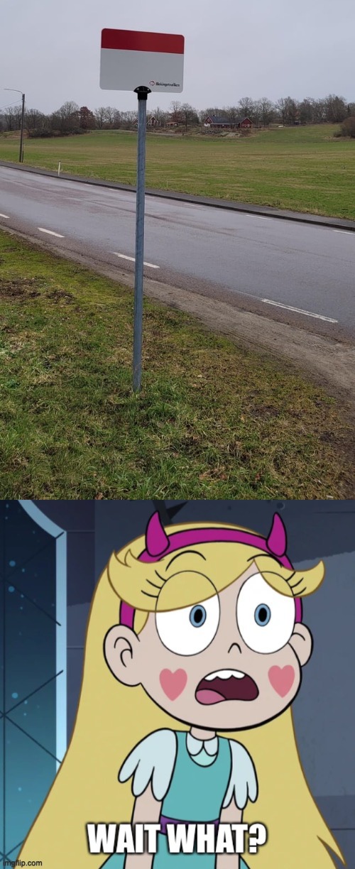 Where am i Going? | image tagged in star butterfly wait what,memes,what,star vs the forces of evil,you had one job,failure | made w/ Imgflip meme maker