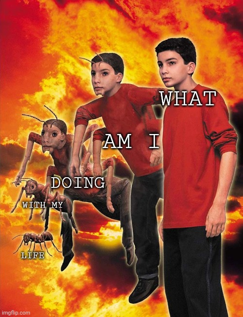 Boy becoming ant | WHAT; AM I; DOING; WITH MY; LIFE | image tagged in boy becoming ant | made w/ Imgflip meme maker