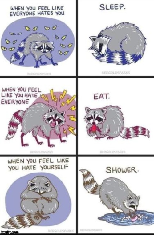 image tagged in wholesome content,wholesome,comics,raccoon,memes,funny | made w/ Imgflip meme maker