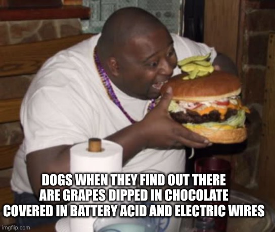 ? | DOGS WHEN THEY FIND OUT THERE ARE GRAPES DIPPED IN CHOCOLATE COVERED IN BATTERY ACID AND ELECTRIC WIRES | image tagged in fat guy eating burger,dog | made w/ Imgflip meme maker