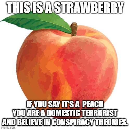 Fruit and Tinfoil hats. | THIS IS A STRAWBERRY; IF YOU SAY IT'S A  PEACH YOU ARE A DOMESTIC TERRORIST AND BELIEVE IN CONSPIRACY THEORIES. | image tagged in peach,conspiracy theory,conservative,strawberry,terrorist | made w/ Imgflip meme maker
