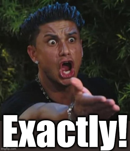 DJ Pauly D Meme | Exactly! | image tagged in memes,dj pauly d | made w/ Imgflip meme maker