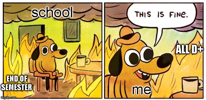 avarage school year | school; ALL D+; END OF SEMESTER; me | image tagged in memes,this is fine | made w/ Imgflip meme maker