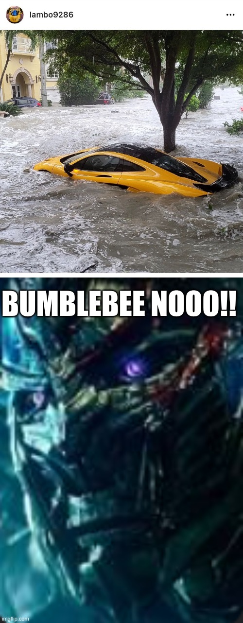 bored | BUMBLEBEE NOOO!! | image tagged in rip bumblebee,optimus wtf face | made w/ Imgflip meme maker