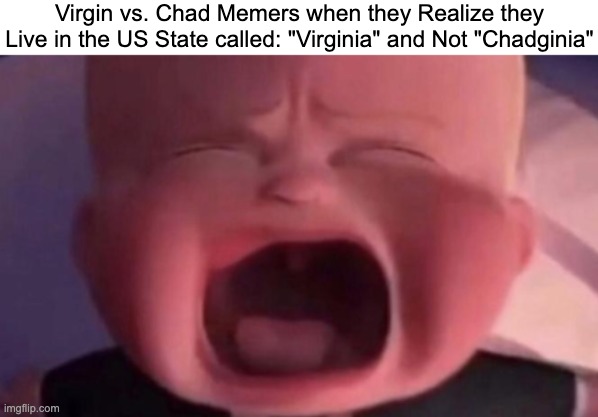 Am i right or wrong | Virgin vs. Chad Memers when they Realize they Live in the US State called: "Virginia" and Not "Chadginia" | image tagged in boss baby crying,virginia,virgin vs chad,memes,funny,boss baby | made w/ Imgflip meme maker