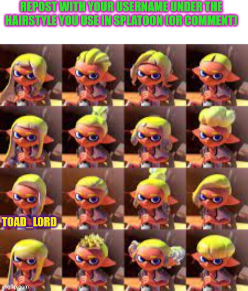 REPOST WITH YOUR USERNAME UNDER THE HAIRSTYLE YOU USE IN SPLATOON (OR COMMENT); TOAD_LORD | image tagged in blank square,hairstyle,splatoon,repost | made w/ Imgflip meme maker