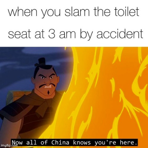 oh nooooo | image tagged in toilet,memes,funny,repost,china,now all of china knows you're here | made w/ Imgflip meme maker
