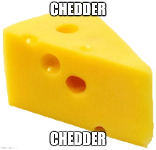 Cheese | CHEDDER; CHEDDER | image tagged in cheese,chedder | made w/ Imgflip meme maker