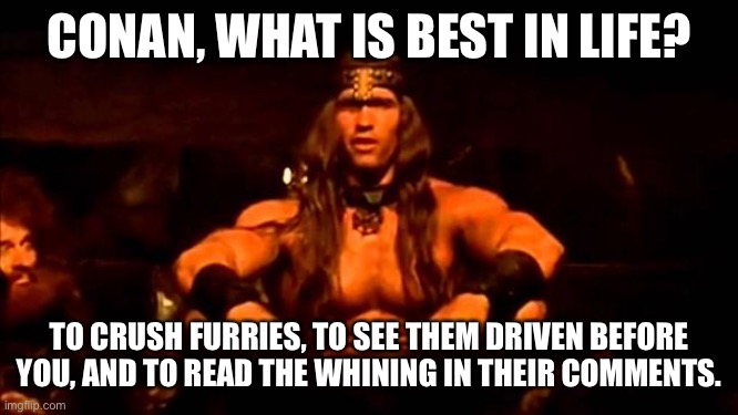 I am here | CONAN, WHAT IS BEST IN LIFE? TO CRUSH FURRIES, TO SEE THEM DRIVEN BEFORE YOU, AND TO READ THE WHINING IN THEIR COMMENTS. | image tagged in conan crush your enemies | made w/ Imgflip meme maker