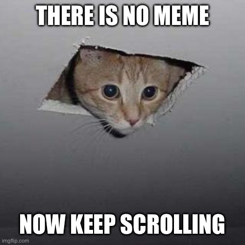 Ceiling Cat Meme | THERE IS NO MEME NOW KEEP SCROLLING | image tagged in memes,ceiling cat | made w/ Imgflip meme maker