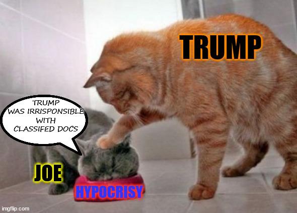 hypocrisy | TRUMP; TRUMP WAS IRRISPONSIBLE WITH CLASSIFED DOCS; JOE; HYPOCRISY | image tagged in force feed cat | made w/ Imgflip meme maker
