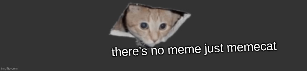 now keep on scrolling | there's no meme just memecat | image tagged in memecat | made w/ Imgflip meme maker