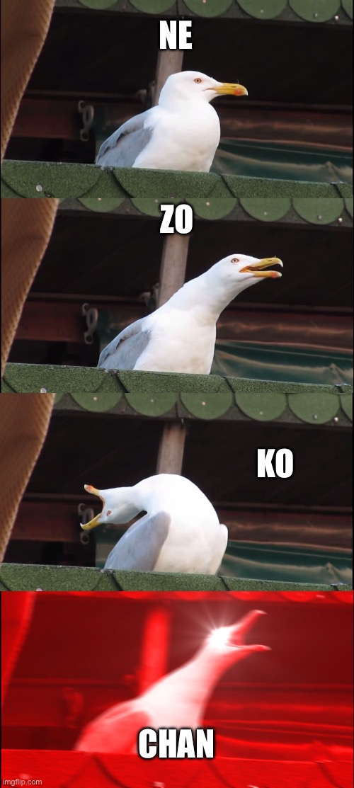 Inhaling Seagull | NE; ZO; KO; CHAN | image tagged in memes,inhaling seagull | made w/ Imgflip meme maker