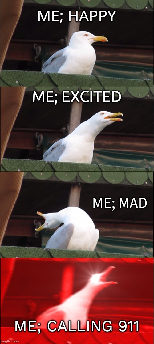 Inhaling Seagull | ME; HAPPY; ME; EXCITED; ME; MAD; ME; CALLING 911 | image tagged in memes,inhaling seagull | made w/ Imgflip meme maker