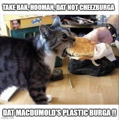 plastic cheezburger | TAKE BAK, HOOMAN, DAT NOT CHEEZBURGA; DAT MACDUMOLD'S PLASTIC BURGA !! | image tagged in i can has cheezburger cat,fake | made w/ Imgflip meme maker