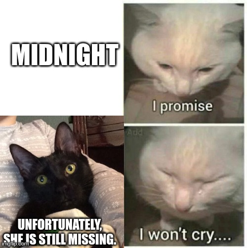 Midnight | MIDNIGHT; UNFORTUNATELY, SHE IS STILL MISSING. | image tagged in midnight my beloved,sobs agressively,sorry | made w/ Imgflip meme maker