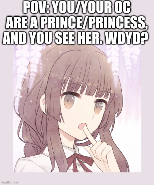 Basic rules apply. Even if it turns into a romance rp, it doesn't matter the gender,  or if they have one. | POV: YOU/YOUR OC ARE A PRINCE/PRINCESS, AND YOU SEE HER. WDYD? | image tagged in lgbtq,roleplaying | made w/ Imgflip meme maker