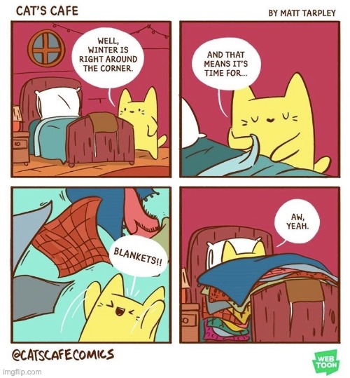 image tagged in wholesome,cats,cafe,memes,comics,comics/cartoons | made w/ Imgflip meme maker