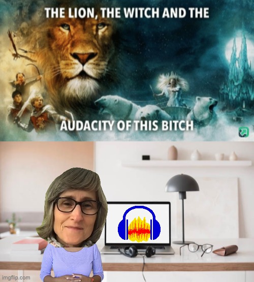 Audacity | image tagged in the lion the witch and the audacity of this bitch | made w/ Imgflip meme maker