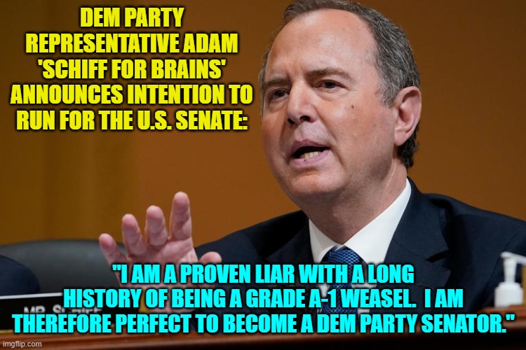 Of course the seat he is shooting for is already held by Feinstein, whom has not stepped down. | DEM PARTY REPRESENTATIVE ADAM 'SCHIFF FOR BRAINS' ANNOUNCES INTENTION TO RUN FOR THE U.S. SENATE:; "I AM A PROVEN LIAR WITH A LONG HISTORY OF BEING A GRADE A-1 WEASEL.  I AM THEREFORE PERFECT TO BECOME A DEM PARTY SENATOR." | image tagged in schiff | made w/ Imgflip meme maker