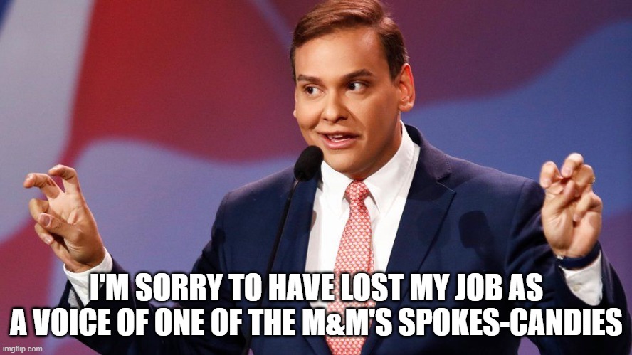 George Santos | I'M SORRY TO HAVE LOST MY JOB AS A VOICE OF ONE OF THE M&M'S SPOKES-CANDIES | image tagged in george santos | made w/ Imgflip meme maker