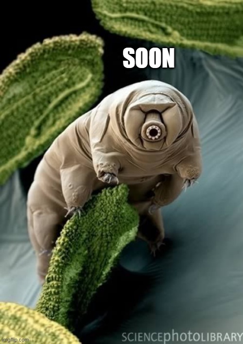 soon | SOON | image tagged in soon | made w/ Imgflip meme maker