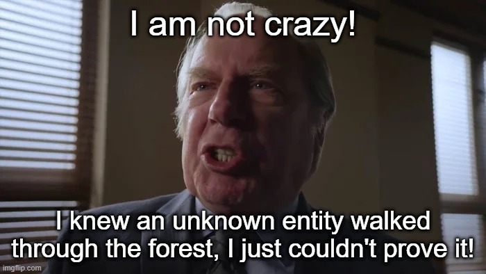unknown entity. | I am not crazy! I knew an unknown entity walked through the forest, I just couldn't prove it! | image tagged in and he gets to be a lawyer,forest,better call saul | made w/ Imgflip meme maker