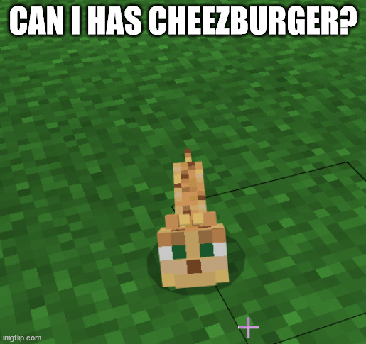 CAN I HAS CHEEZBURGER? | made w/ Imgflip meme maker