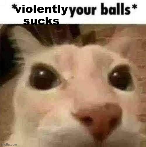 X your balls | violently sucks | image tagged in x your balls | made w/ Imgflip meme maker