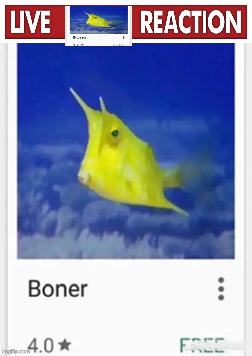 Making this a temp | image tagged in live x reaction | made w/ Imgflip meme maker