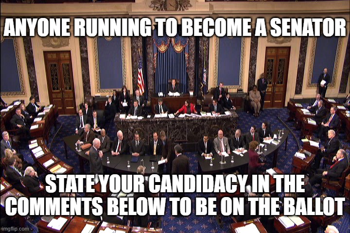 Anyone running for senate state your candidacy in the comments | ANYONE RUNNING TO BECOME A SENATOR; STATE YOUR CANDIDACY IN THE COMMENTS BELOW TO BE ON THE BALLOT | image tagged in senate floor | made w/ Imgflip meme maker